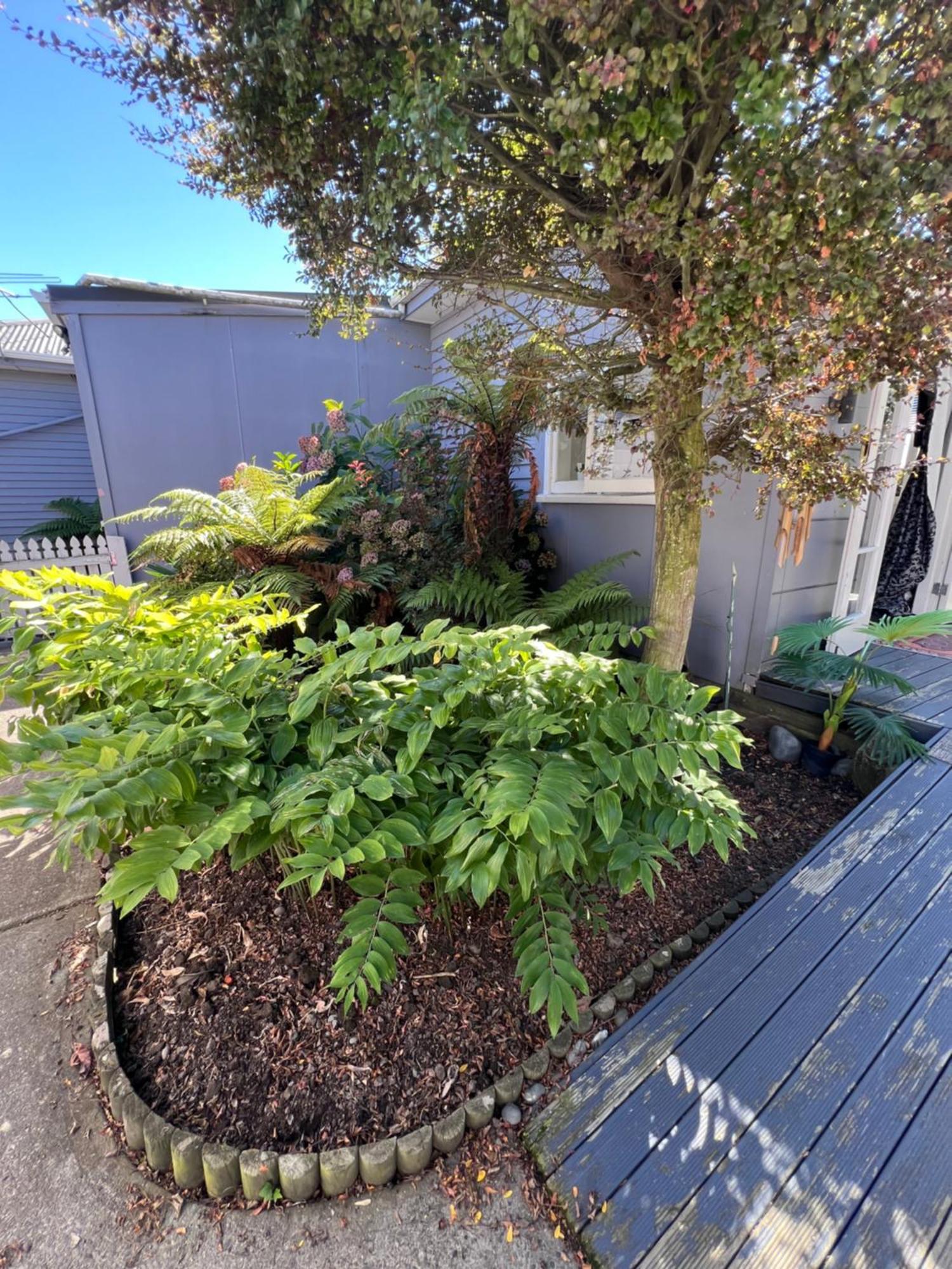 Gorgeous Villa, 7 Minutes From Airport Christchurch Bagian luar foto